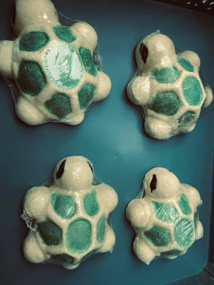 Wholesale lot 10 of Turtle Bathbomb
