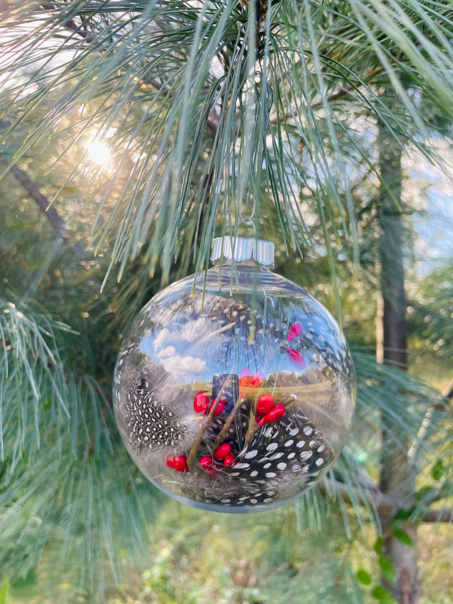 Wildcrafted Guinea Feather Ornament