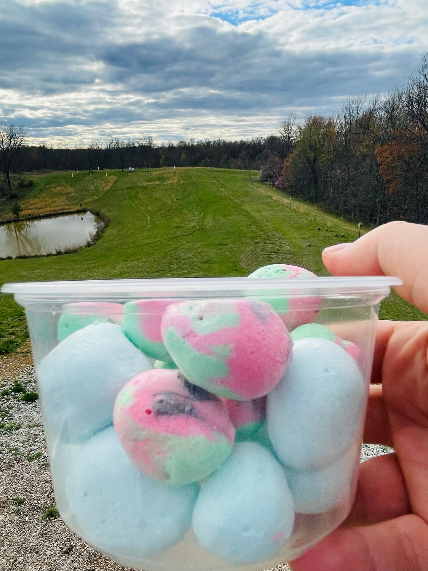 Freeze Dried Taffy