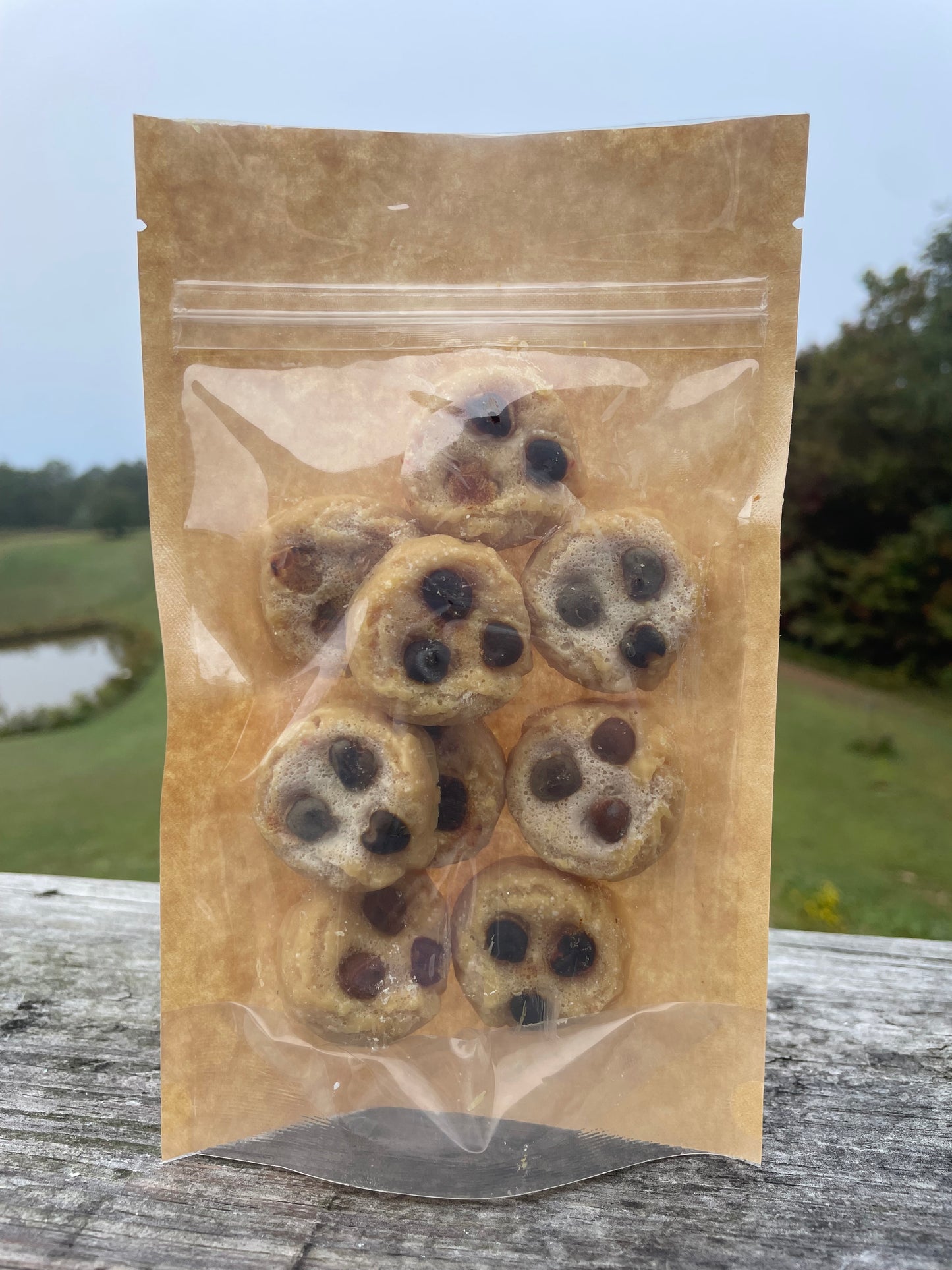 Mini chocolate chip cookie wax melts￼