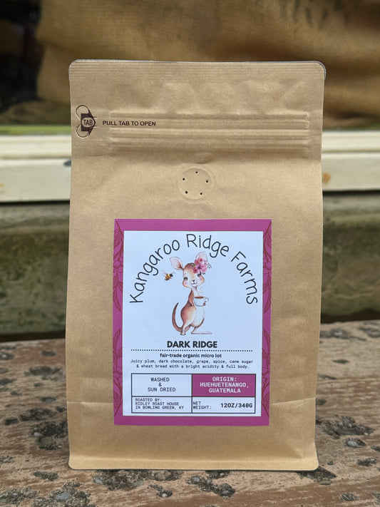 Dark Ridge Coffee Beans - 12 oz